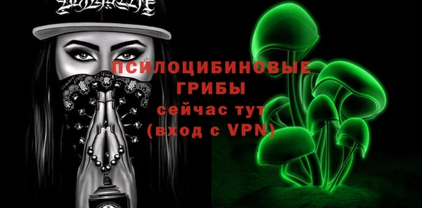 PSILOCYBIN Алзамай