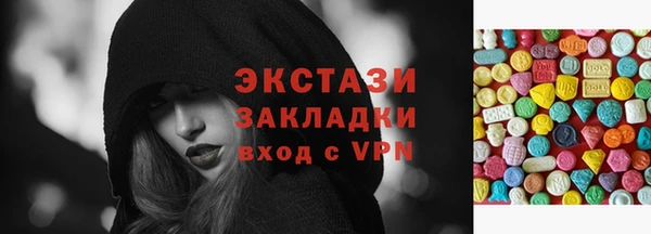 СК Алексин