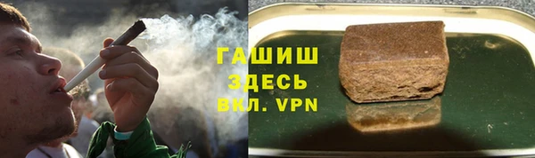 СК Алексин