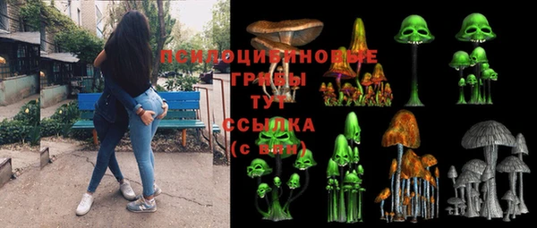 не бодяженный Переславль-Залесский