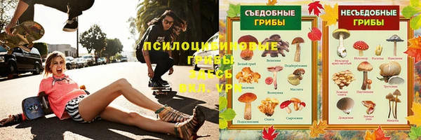 СК Алексин