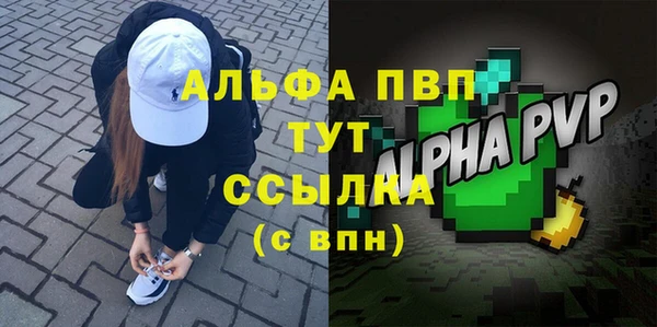 СК Алексин