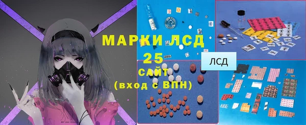 ПСИЛОЦИБИНОВЫЕ ГРИБЫ Пересвет