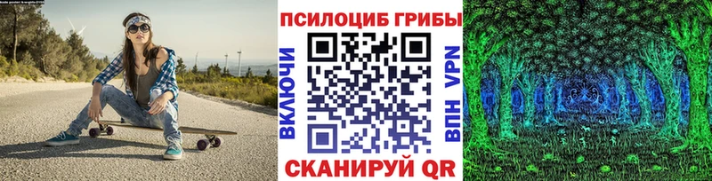 магазин продажи наркотиков Дюртюли Псилоцибиновые грибы мицелий